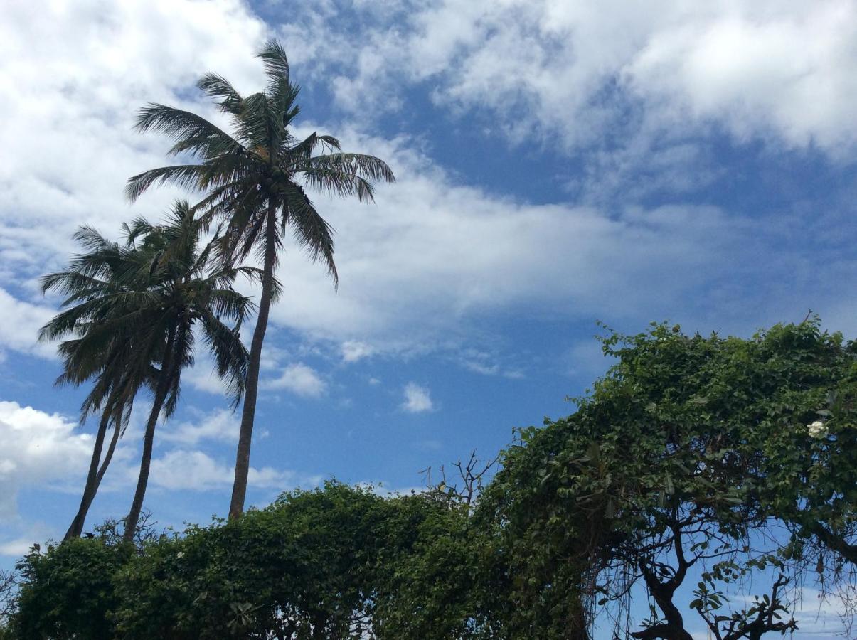 New Rest House Sea View Hotel Negombo Exterior foto